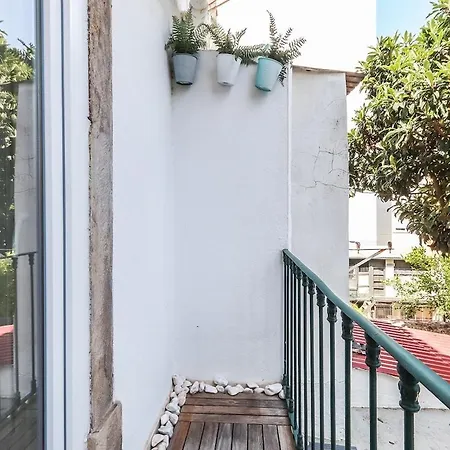Campo De Ourique Modern Bright With Office * Lisbon